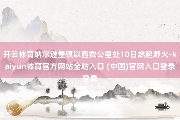 开云体育纳尔逊堡镇以西数公里处10日燃起野火-kaiyun体育官方网站全站入口 (中国)官网入口登录